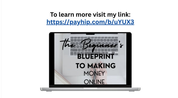 The Beginner's Blueprint to Making Money Online