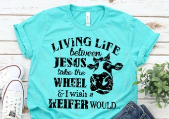 Living Life between Jesus Take the Wheel and I Wish a Heifer Would